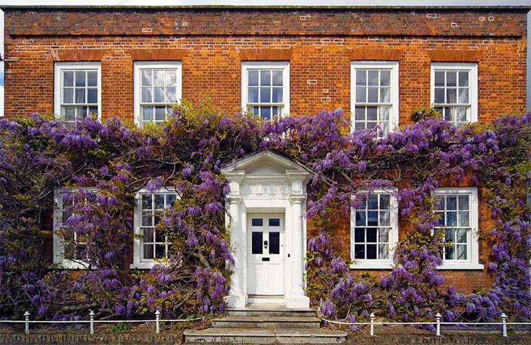 restore and upgrade traditional sash windows in your period home to add value and beauty