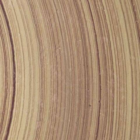 Accoya Timber