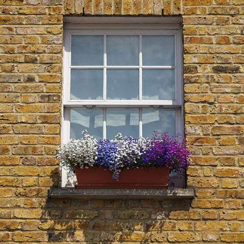 Sash Windows