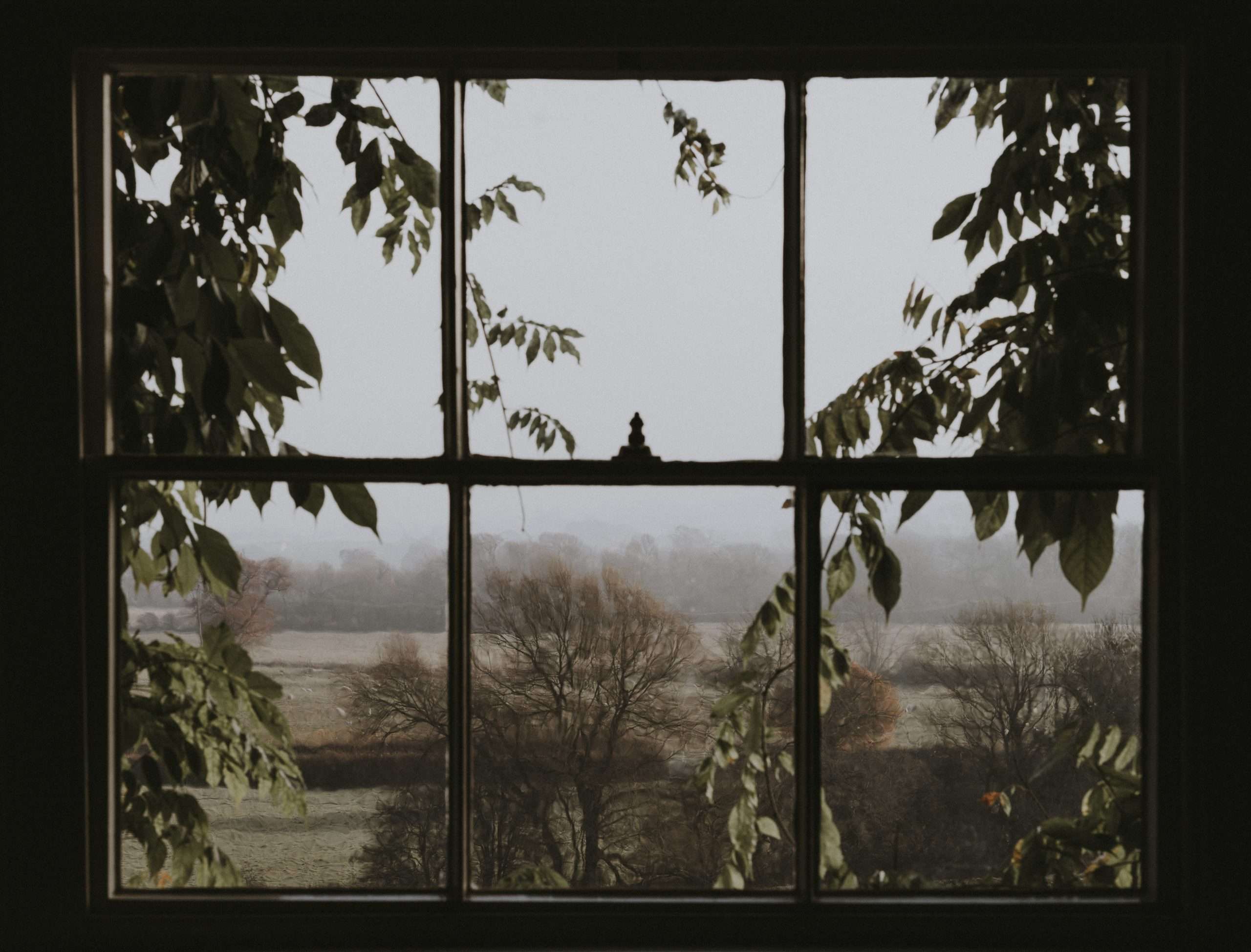 Country view through sash windows