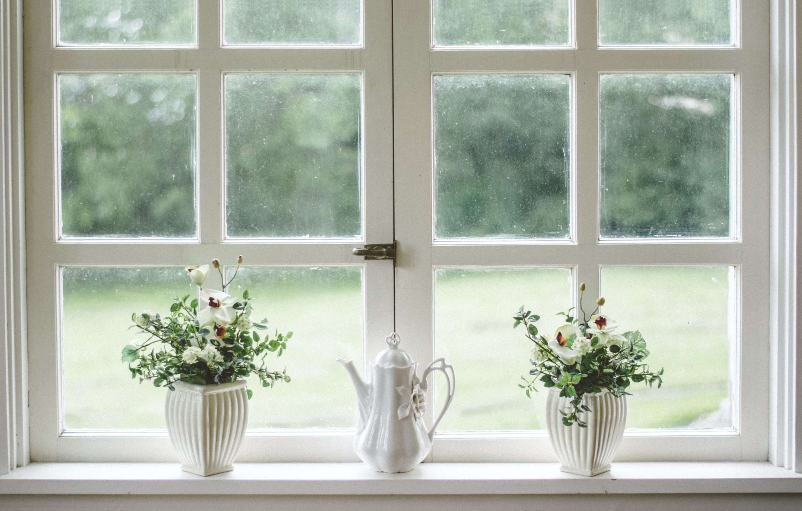 White teapot and plants on a window sill in front of a white window frame